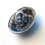 Re-Stocked, Small Rustic Silver Zia Symbol 1/2" Shank Back Southwest Button  #SW-30