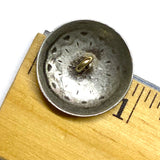 Re-Stocked, Colorado Blanket Flower Silver Metal Shank Back Southwest Button 7/8"  #SW-85