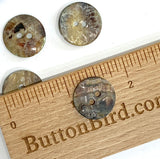 Re-Stocked, 11/16" Dark Emerald Green Pearl MOP Shell 2-hole 18mm Button, Per Button   #975-D