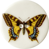 Tiger Swallowtail Butterfly Large Handmade Porcelain Button 1-1/2"