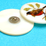Robin Mother of Pearl Shell Shank Back Artisan Button by Susan Clarke Originals 1-3/8"  #SC-1525