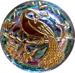 Aqua Pink + Gold Peacock Czech Glass Button, 22mm  7/8" # CZ 249