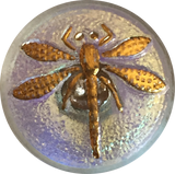 Iridescent Honeydew Dragonfly Czech Glass Button, 18mm  Almost 3/4" #CZ 018