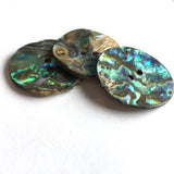 Abalone Mostly Greens/Blues Natural Large 2-Hole Button  1-1/8"  #SK-0037