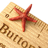Re-Stocked, Starfish Button, Coral Red-Orange Metal with Shank Back, by Susan Clarke   3/4"  # SC-631