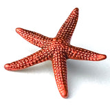 Re-Stocked, Starfish Button, Coral Red-Orange Metal with Shank Back, by Susan Clarke   3/4"  # SC-631