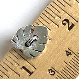 Monstera Leaf Button Antiqued Silver 16mm  5/8" from Tierra Cast  #6605-12