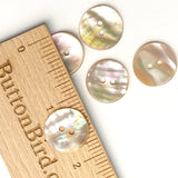 Golden Beige Rainbow Natural Abalone Shell 11/16" 2-Hole Iridescent Per Button #610-D