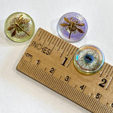 Iridescent Honeydew Dragonfly Czech Glass Button, 18mm  Almost 3/4" #CZ 018