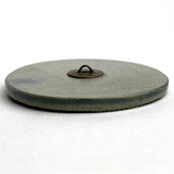 Last Ones, Peacock Painter, Mossy Teal Art Stone Button by Susan Clarke 2" #SC-2024-9