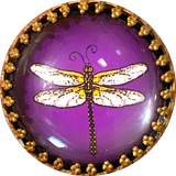 Running Low, Dragonfly on Purple, Glass Crystal Dome Button Shank Back, Bead-Look Frame 1.25"   #CB291