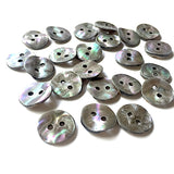 Last Ones, Dancing Platinum Rainbow Shell 1/2" Buttons, 2-Hole Pack of 12   #23-620
