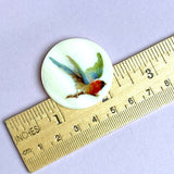 SALE Colorful Bird Mother of Pearl 1-3/8" Button, Susan Clarke USA, 1-3/8"