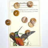 Semi-Clear Sarsaparilla Honey Brown Shell Button, 1/2"-9/16" EIGHTEEN for $7.50  #KB-954