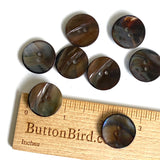 Re-Stocked, Brown / Espresso-Black Shiny Natural Sometimes-Curvy Mussel Shell Button, 7/8", TEN for $8.00  #KB-907