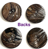 Re-Stocked, Brown / Espresso-Black Shiny Natural Sometimes-Curvy Mussel Shell Button, 7/8", TEN for $8.00  #KB-907