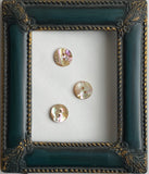 1/2" Golden Beige Rainbow Natural Abalone 2-hole Iridescent Button, Pack of 10  #877-D