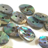 Greens & Blues 5/8" Vivid Abalone 2-Hole Button 15mm, Per Button #0034