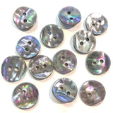 Last Ones, Dancing Platinum Rainbow Shell 1/2" Buttons, 2-Hole Pack of 12   #23-620